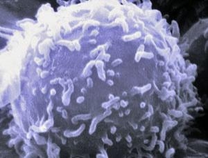 killer-T-cell2