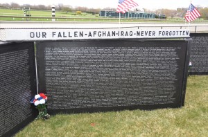 Our Fallen - Afghan-Iraq - Never Forgotten